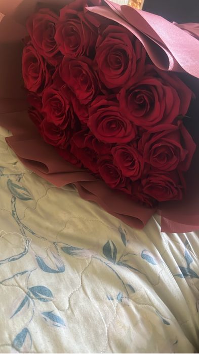 Роза метровые,21 штук