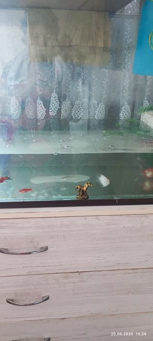 Продается аквариум и аквариум рыбки