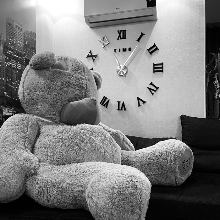 Мягкая игрушка тедди