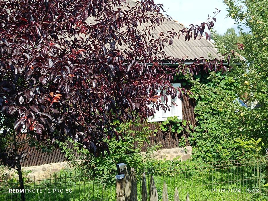 Teren intravilan în suprafață totală de 4.331 mp, Borsa, Maramures