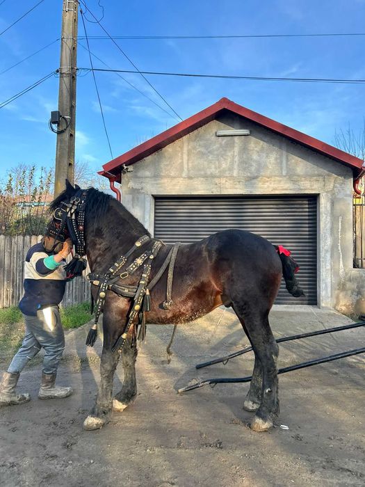 Vand sau schimb cu atv de 500 cc sau tractor