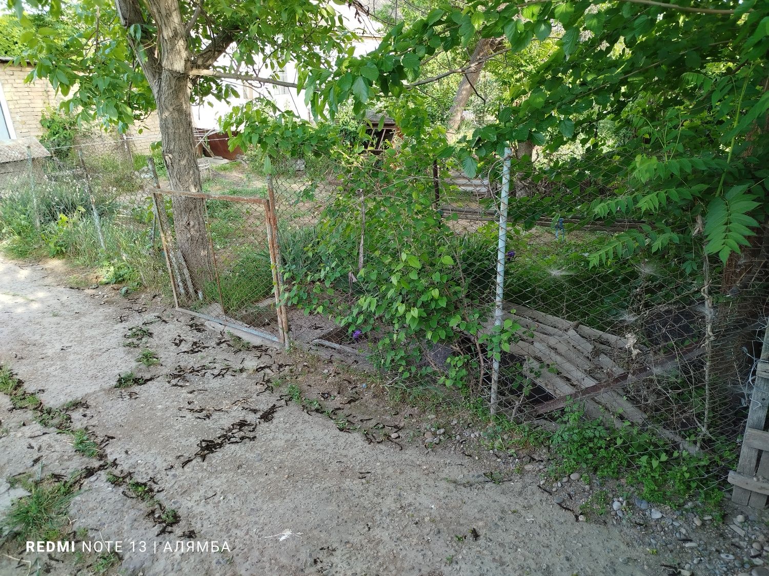 Продается дом в городе Сырдарья