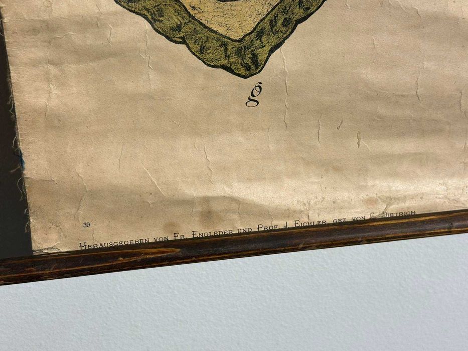 Соц Учебни Плакати Постери Ботаника