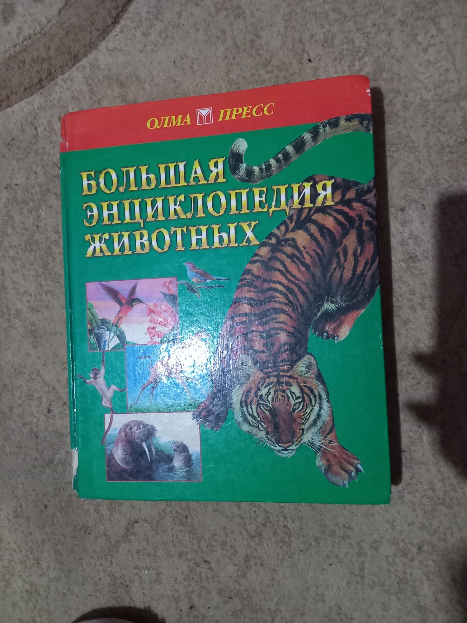 Книги для детей, сказки