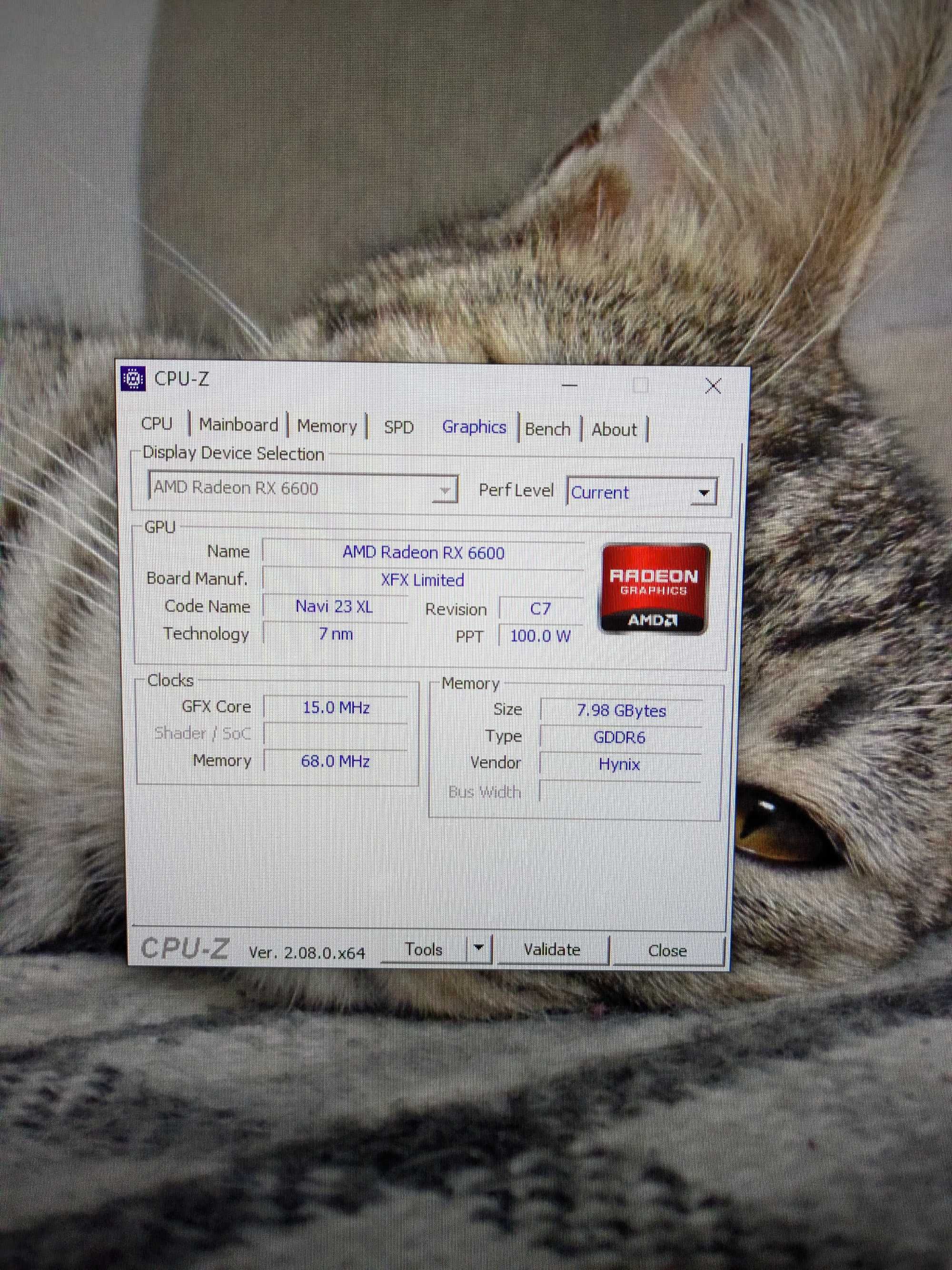XFX RX 6600 8Gb DDR6