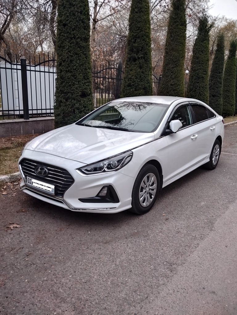 Hyundai sanata 2019, ўзимники, родной краски