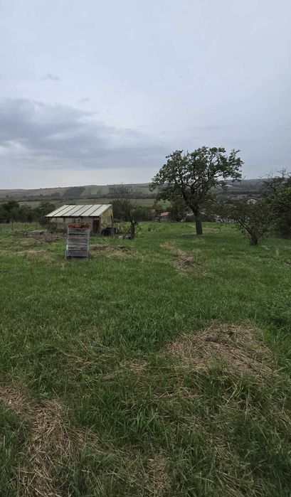 Vand casa in comuna Bethausen, sat Cladova