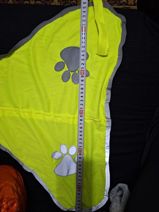 Imbracaminte caine / catel