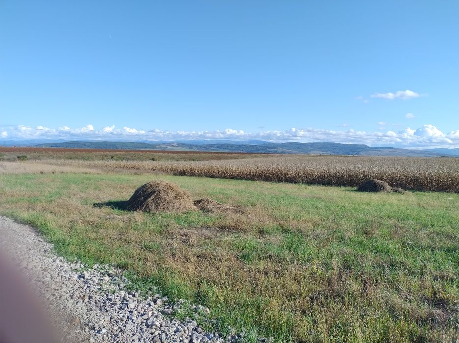 Teren Simeria pentru casă de vacanță