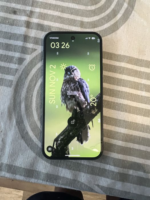 Google pixel 9 + Google pixel watch 2