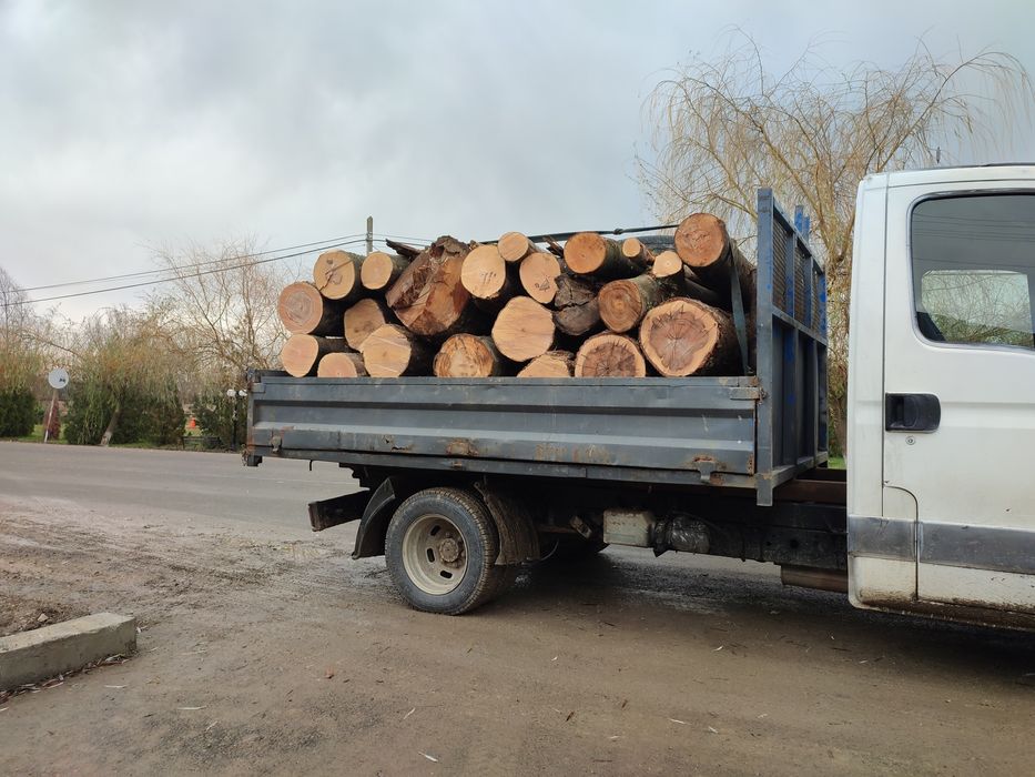 Lemne de foc esență tare