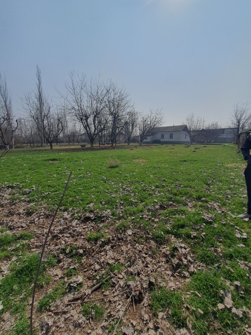 toshkent vloyati yuqori chirchiq tumani jambulda  uchaska sotiladi 99