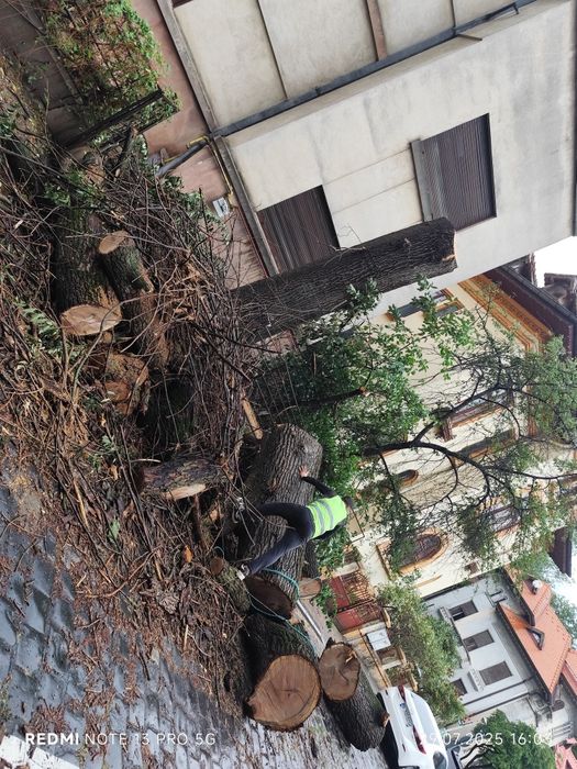 Debarasare oriunde in București toate sectoarele