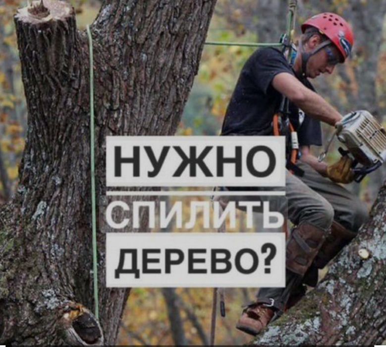 Агаш кесу, Спилим дерево любой сложности