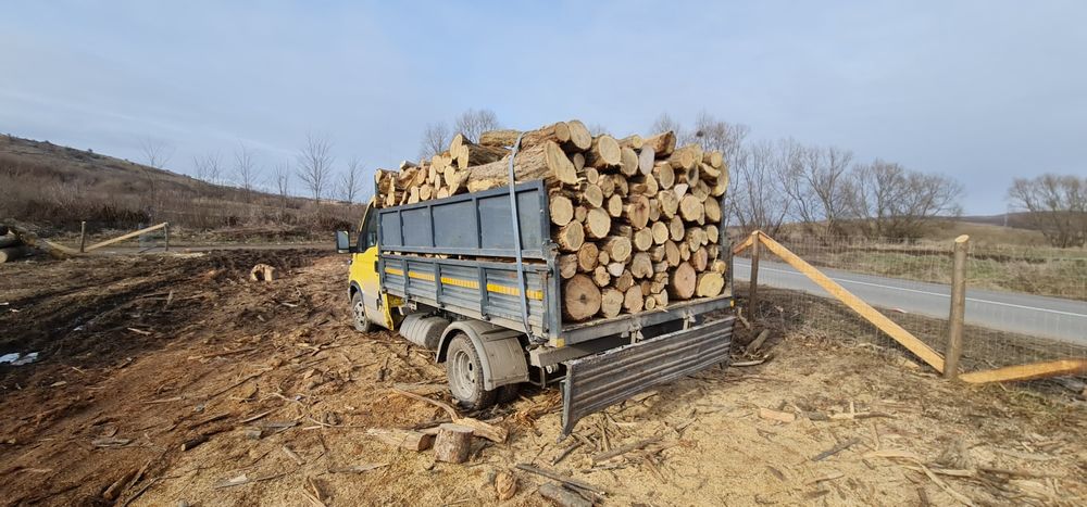 Lemne pentru foc avem si uscate