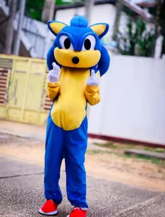 Costum Sonic și alte personaje populare din desene animate
