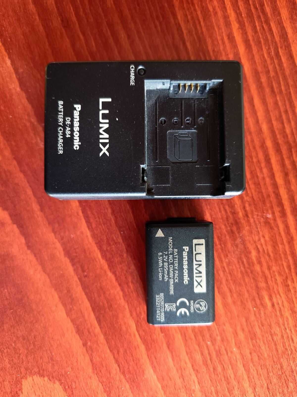 Panasonic Lumix DMC - FZ100