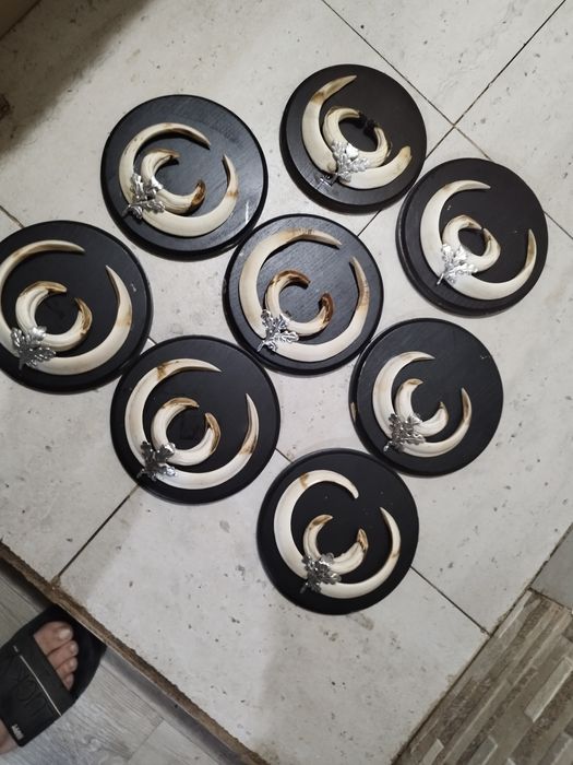 Trofee de vânzare 1500 lei cerb 2000 lei muflon