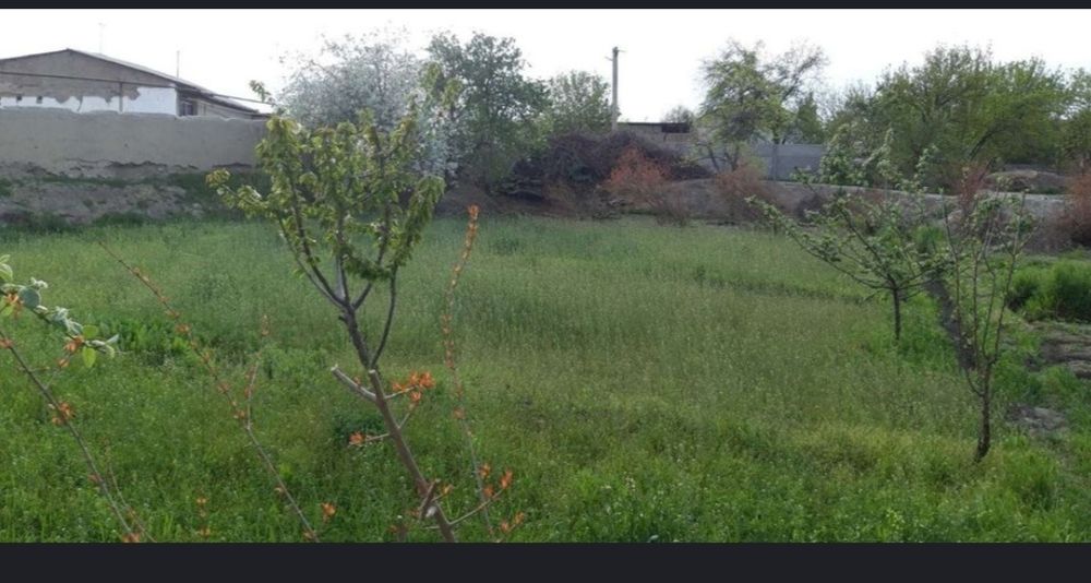 Hovli sotiladi varqda