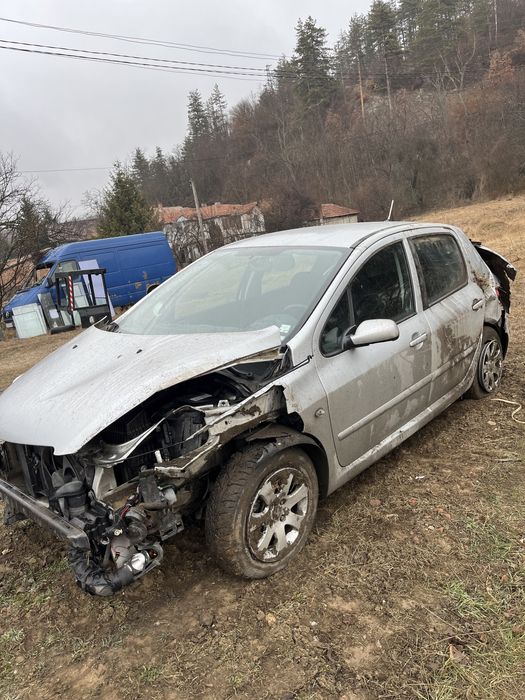 Кола на части Peugeot 307 1.6