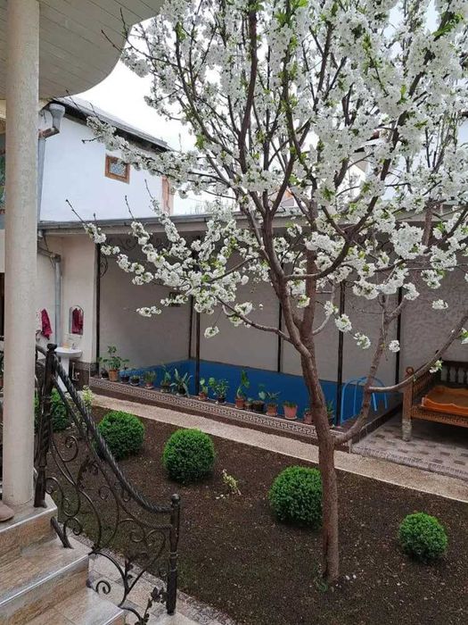 Циалковская | Буюк Ипак Йули 9-комнат 8-соток 500 м2 [ДМ-009]