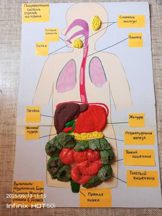 Делаю поделки для школы или детского сада.
