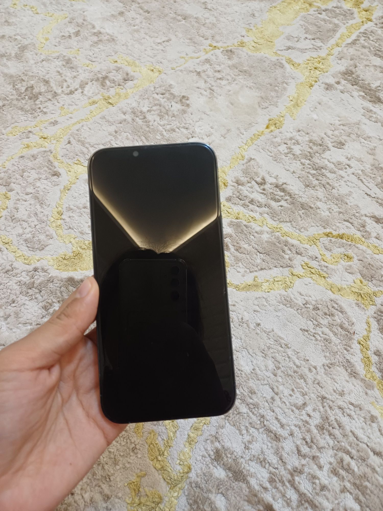 Phone 13 pro max