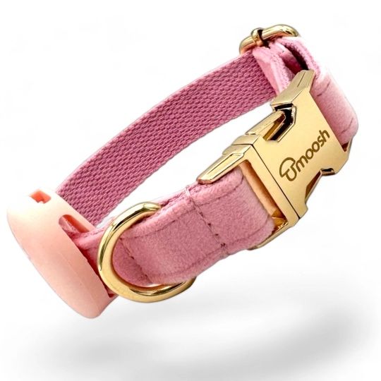 Lesă/curea de lux din catifea pentru câini, cu suport Airtag