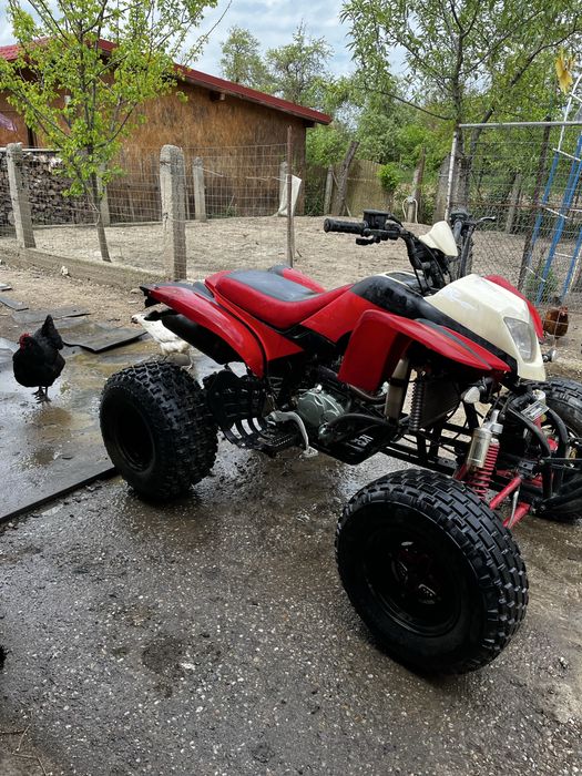 atv bashan 250 (nu ltz, ltr, yzf, yfz)