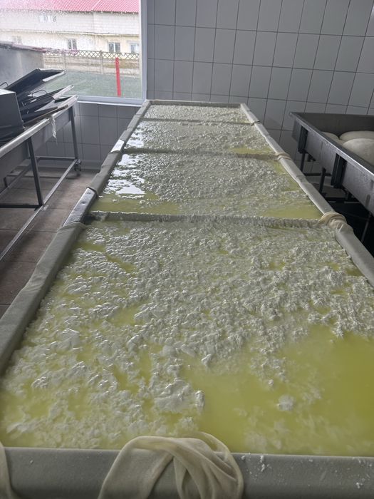 Produse Lactate  100% naturale