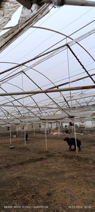 Parnik turbalari buzib tez va arzon sotiladi