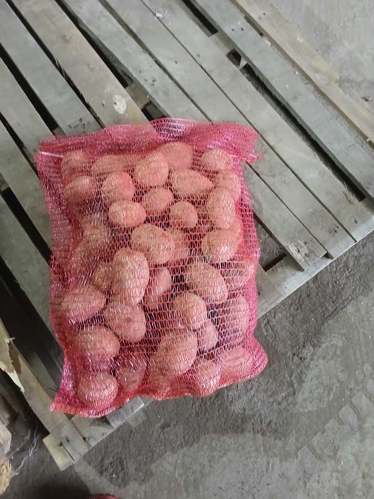 Cartofi consum 10 kg
