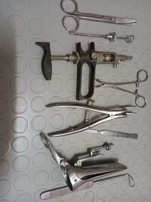 Ветеринарна медицина