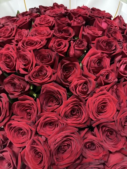 Продам 101 красную розу,свежие,крупные