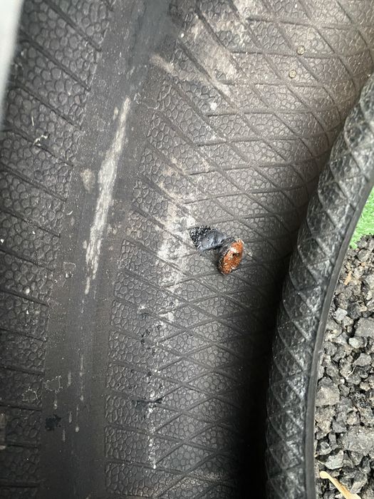 Set 4 anvelope Iarna 205 55 16 91T Dunlop Winter Sport 5 Dot 3119