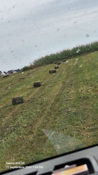 Vând baloti de lucerna