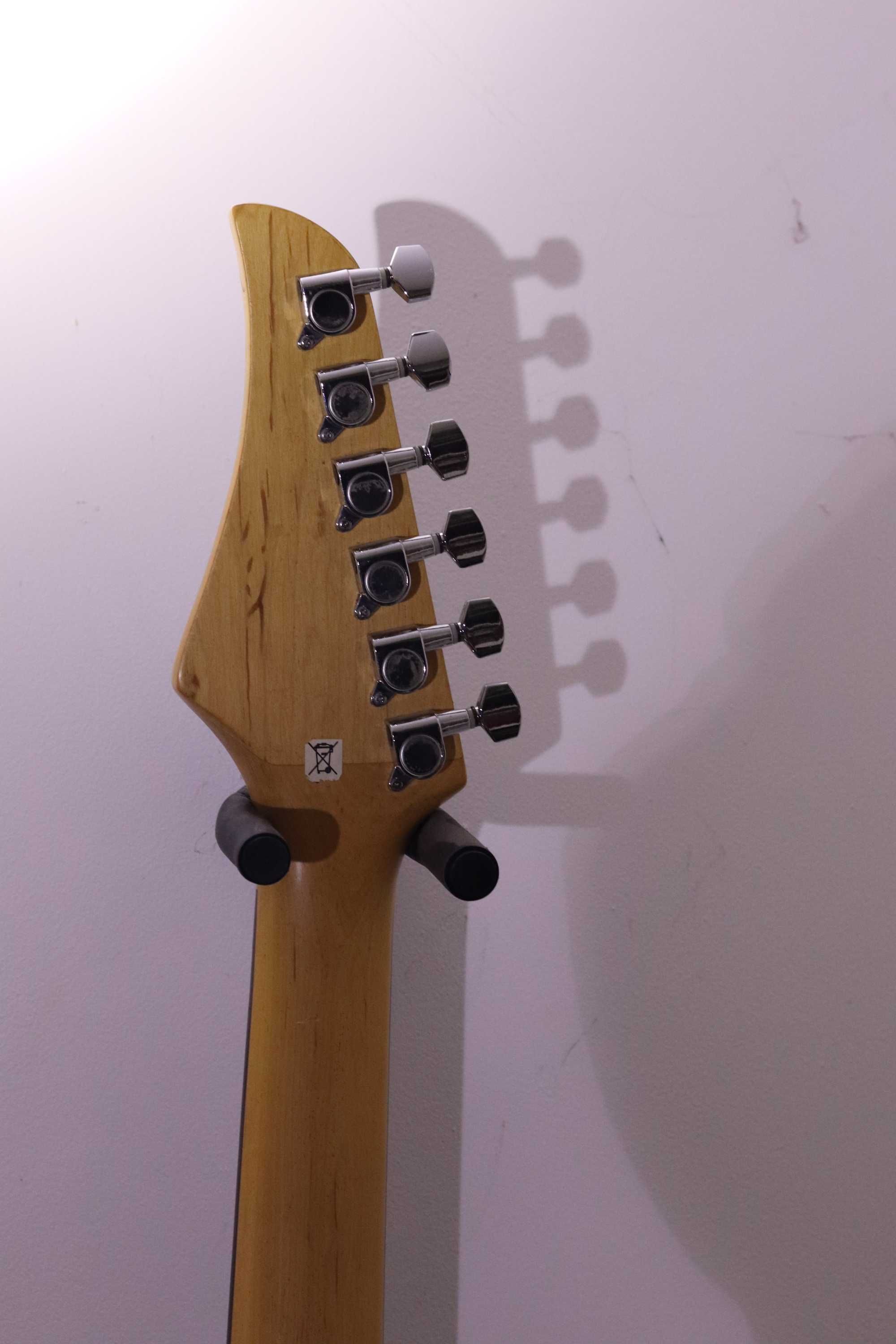 Chitara electrica Delson black