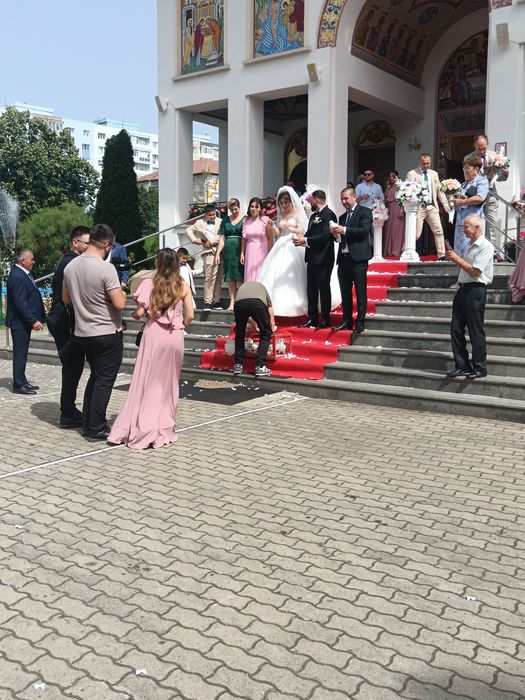 Porumbei evenimente Timișoara