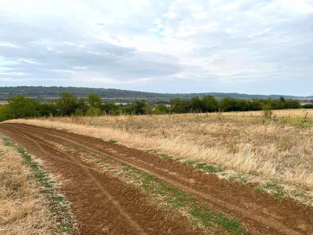 Панорамен парцел в регулация в село Церова кория