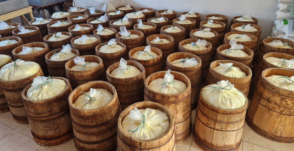 Brânză de oaie maturată 42 lei negociabil.