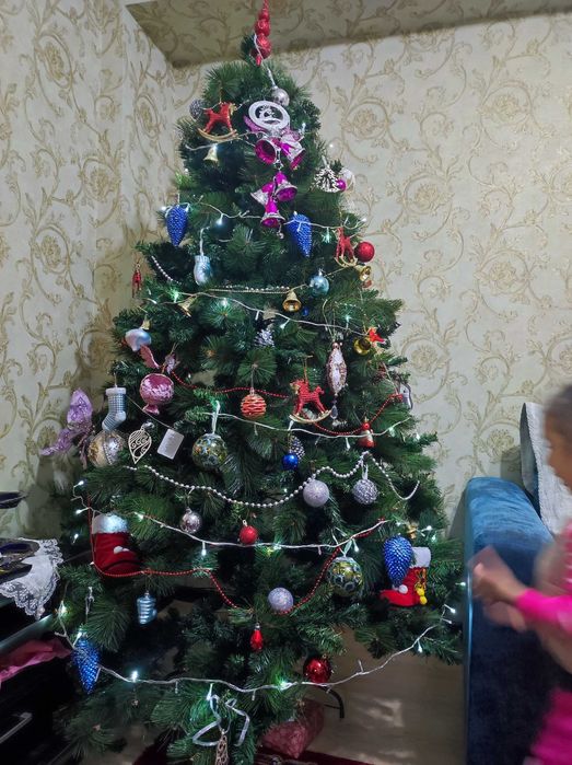 Новогодние ёлка.