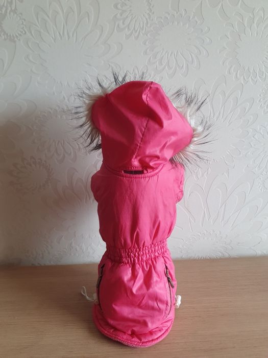 Haine catel talie mica plus hamuri cadou (gratis gratuit) pret per buc