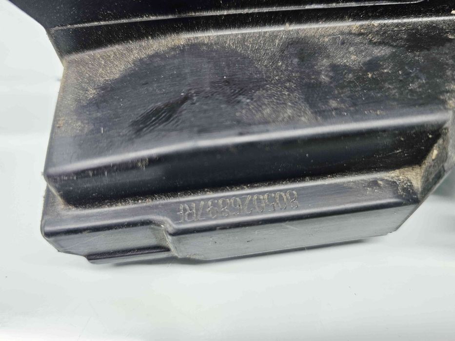 Broasca usa dreapta fata Dacia Sandero 2 [Fabr 2012-prezent]