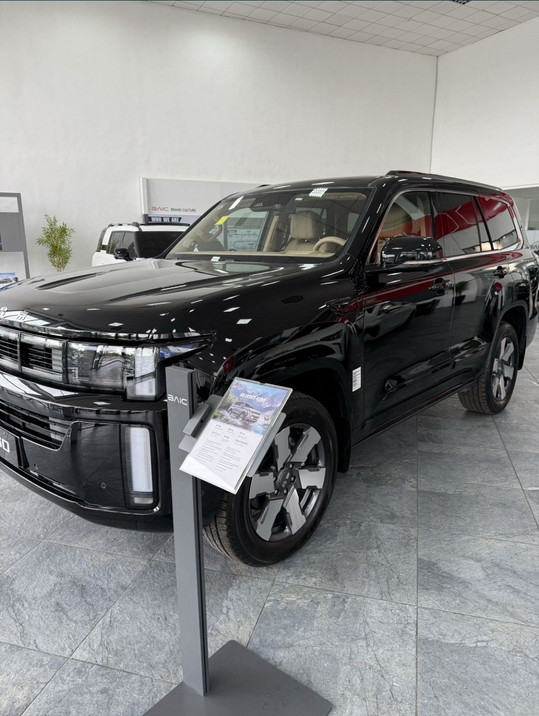 Baic BJ 60 gibrid