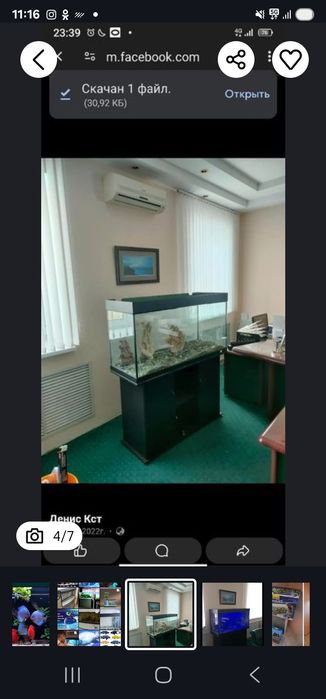 Чистка обслуживание аквариумов