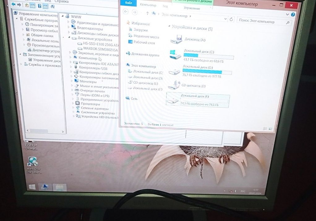 Maniror 17 lik sotiladi