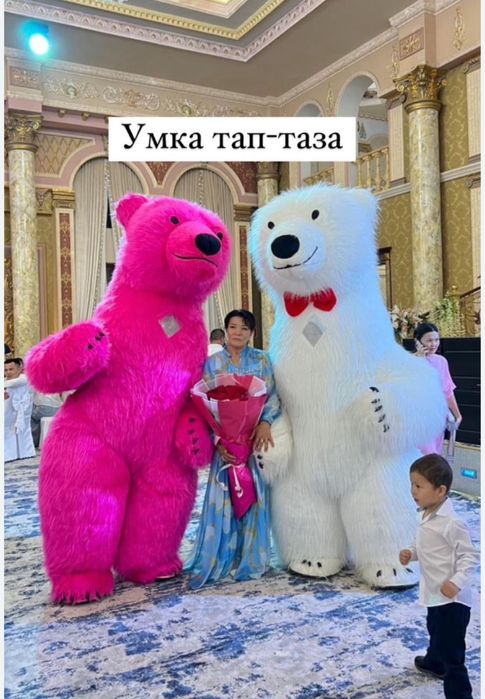 Баннер Happy brithday Шарики гели белая умка медведь Пупсики Аниматор