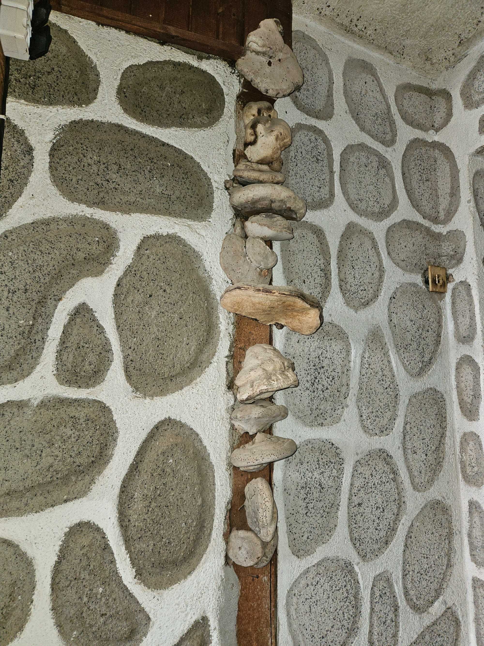 Глинени грънци ,антики