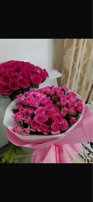 Продам цветы розы