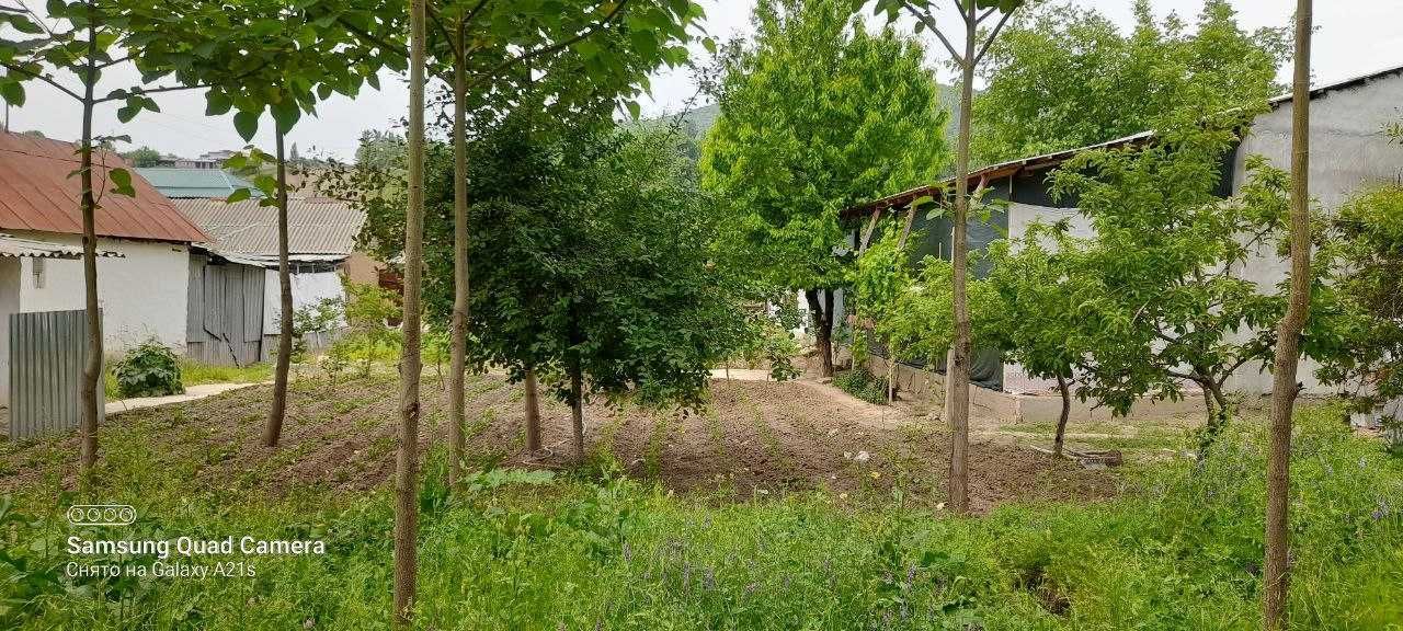 Xumsonda 13 sotix xovli sotiladi.